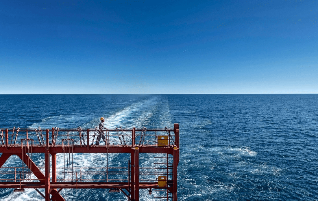 MSC Sustainability Report 2024