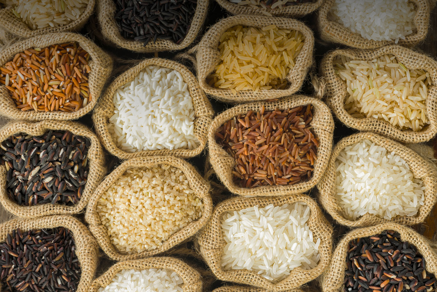 Rice