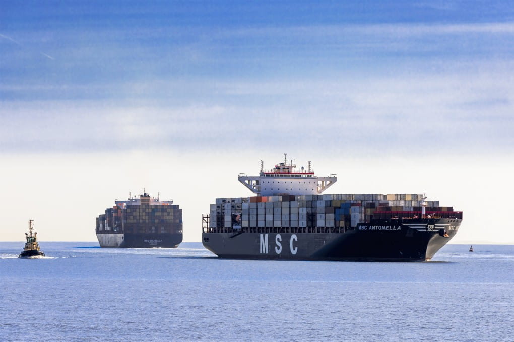  MSC Antonella (built 2016), 8 819 TEUs 